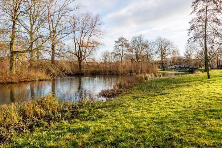 Foto 48 van Berkenpark 48