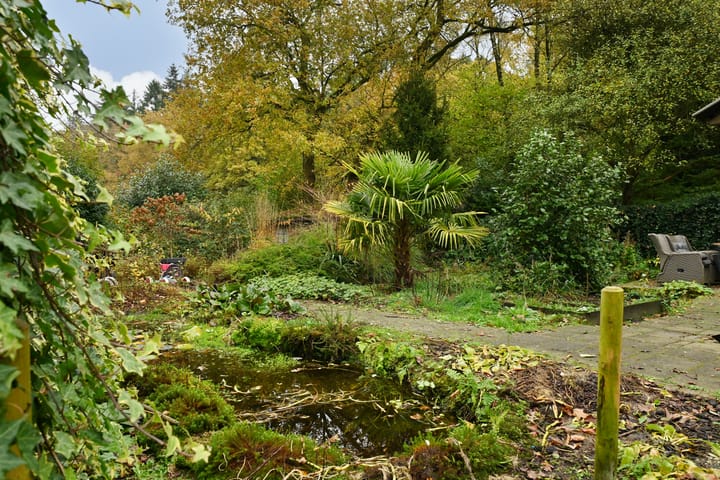 Foto 10 van 't Wasven 1