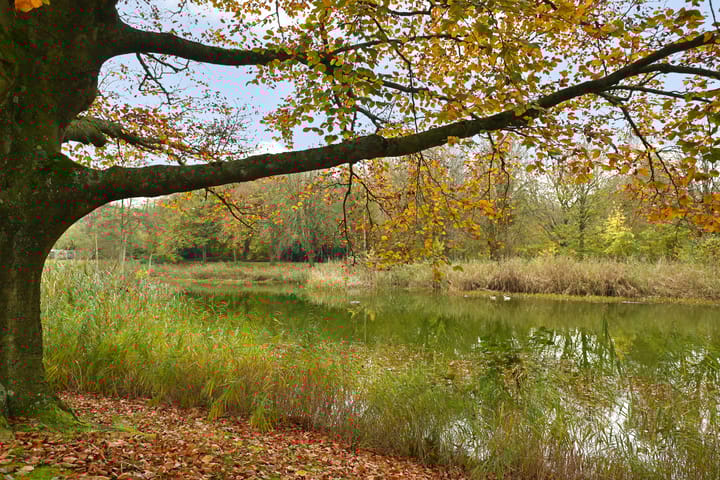 Foto 33 van 't Wasven 1