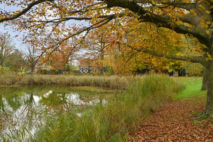 Foto 34 van 't Wasven 1