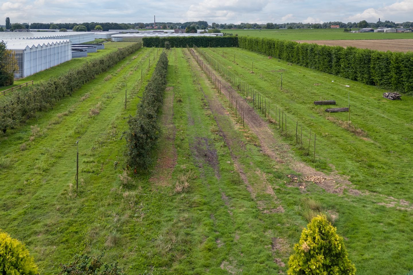 Foto 19 van Oosterhoutsestraat 97