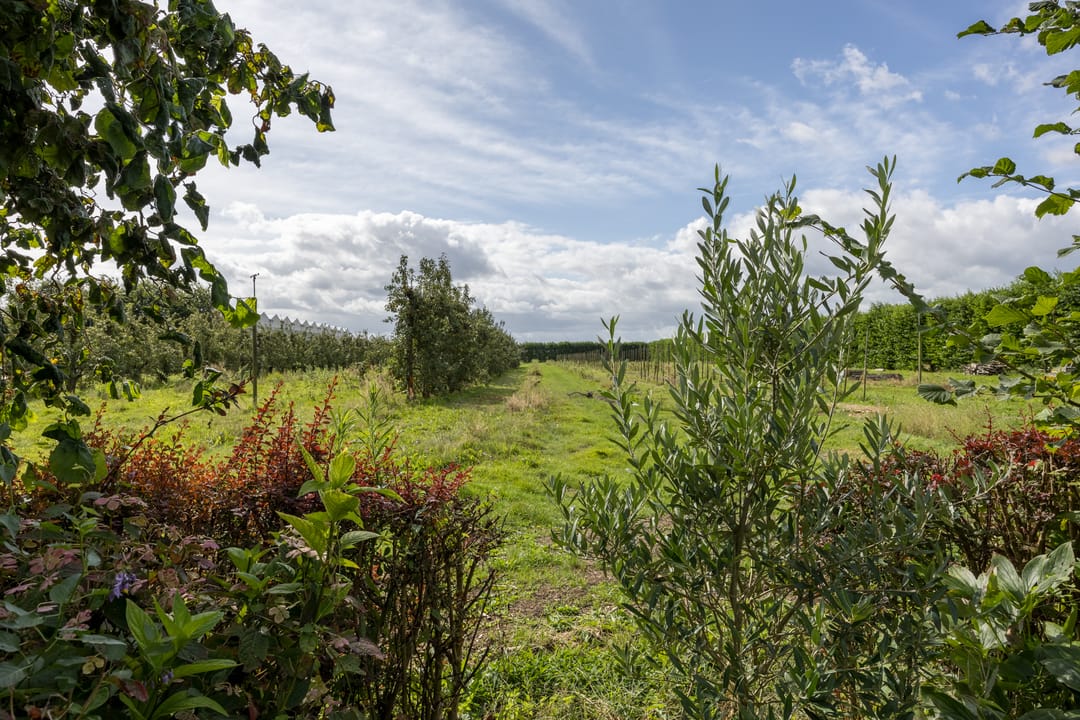 Foto 26 van Oosterhoutsestraat 97