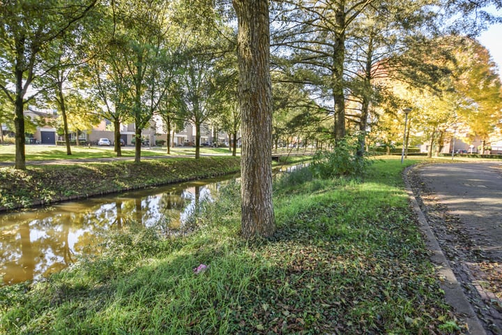 Bekijk foto 40 van Goudpiasterstraat 3