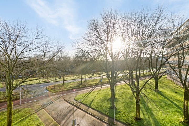 Foto 4 van Roelandplaats 49