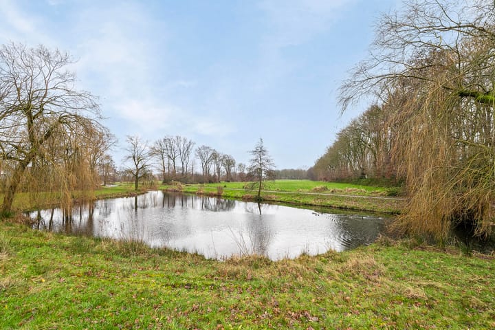 Foto 20 van Erica 55