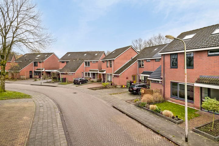 Foto 24 van Erica 55