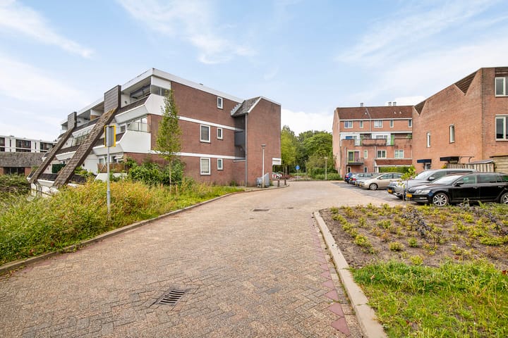 Foto 24 van Rigoletto 2