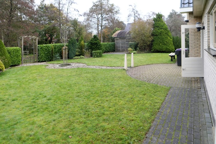 Foto 40 van Boomvalk 12