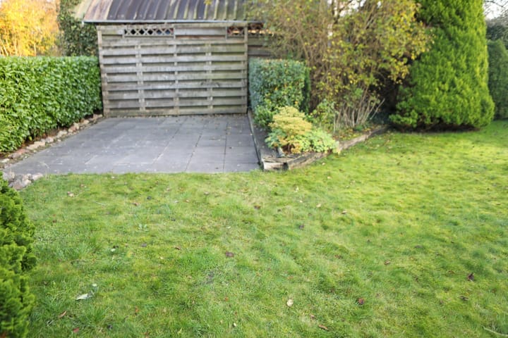 Foto 41 van Boomvalk 12