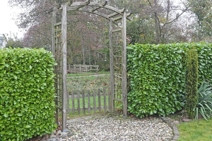 Foto 44 van Boomvalk 12