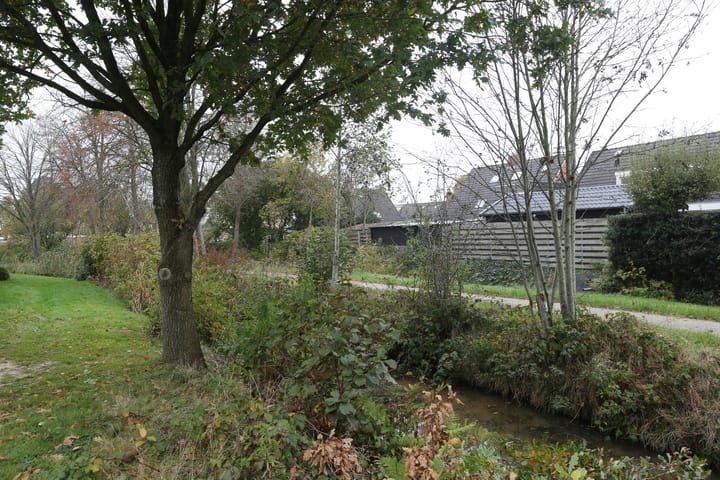 Foto 45 van Boomvalk 12