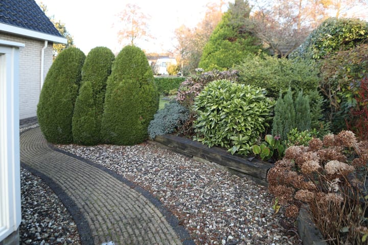 Foto 48 van Boomvalk 12