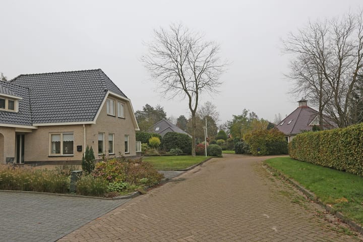 Foto 54 van Boomvalk 12