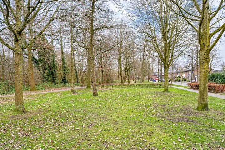 Foto 28 van Anna Paulownalaan 5