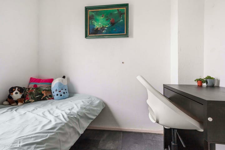 Photo 22 of Fabianusstraat 26