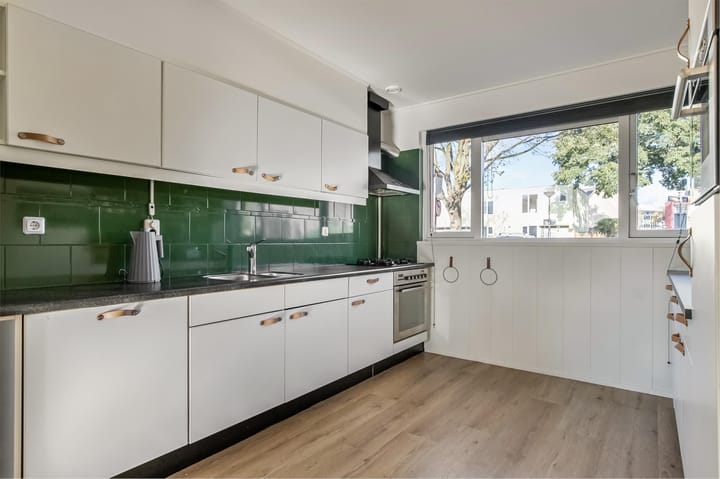 Foto 9 van Beukmolenplantsoen 28