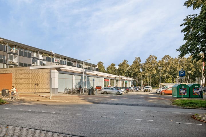 Foto 29 van Beukmolenplantsoen 28