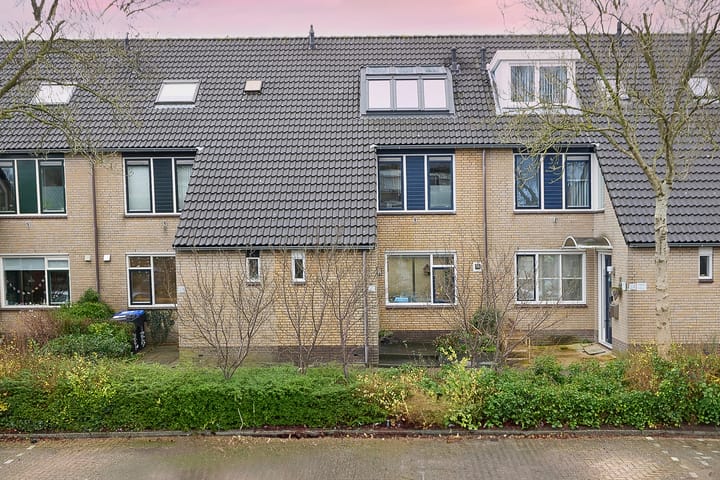 undefined main image