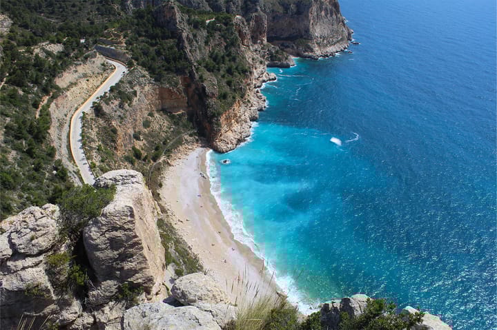 Photo 4 of C. Dalias