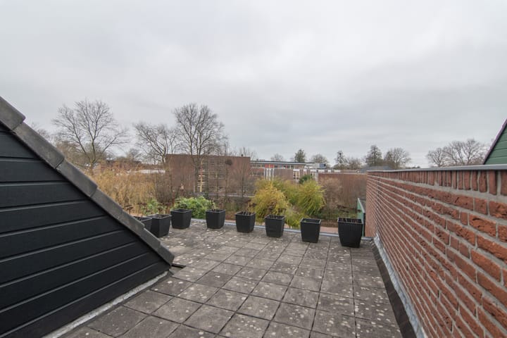 Foto 37 van Lavendeltuin 15