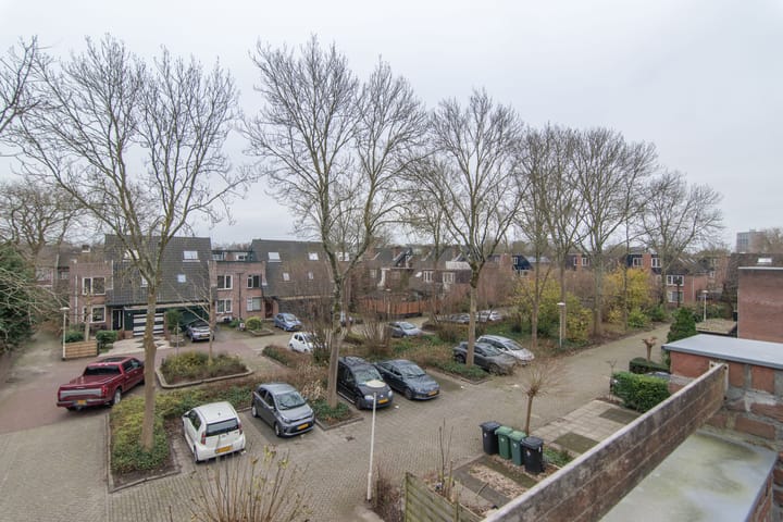 Foto 38 van Lavendeltuin 15