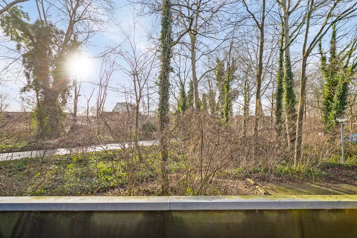 Foto 11 van Groenhof 181