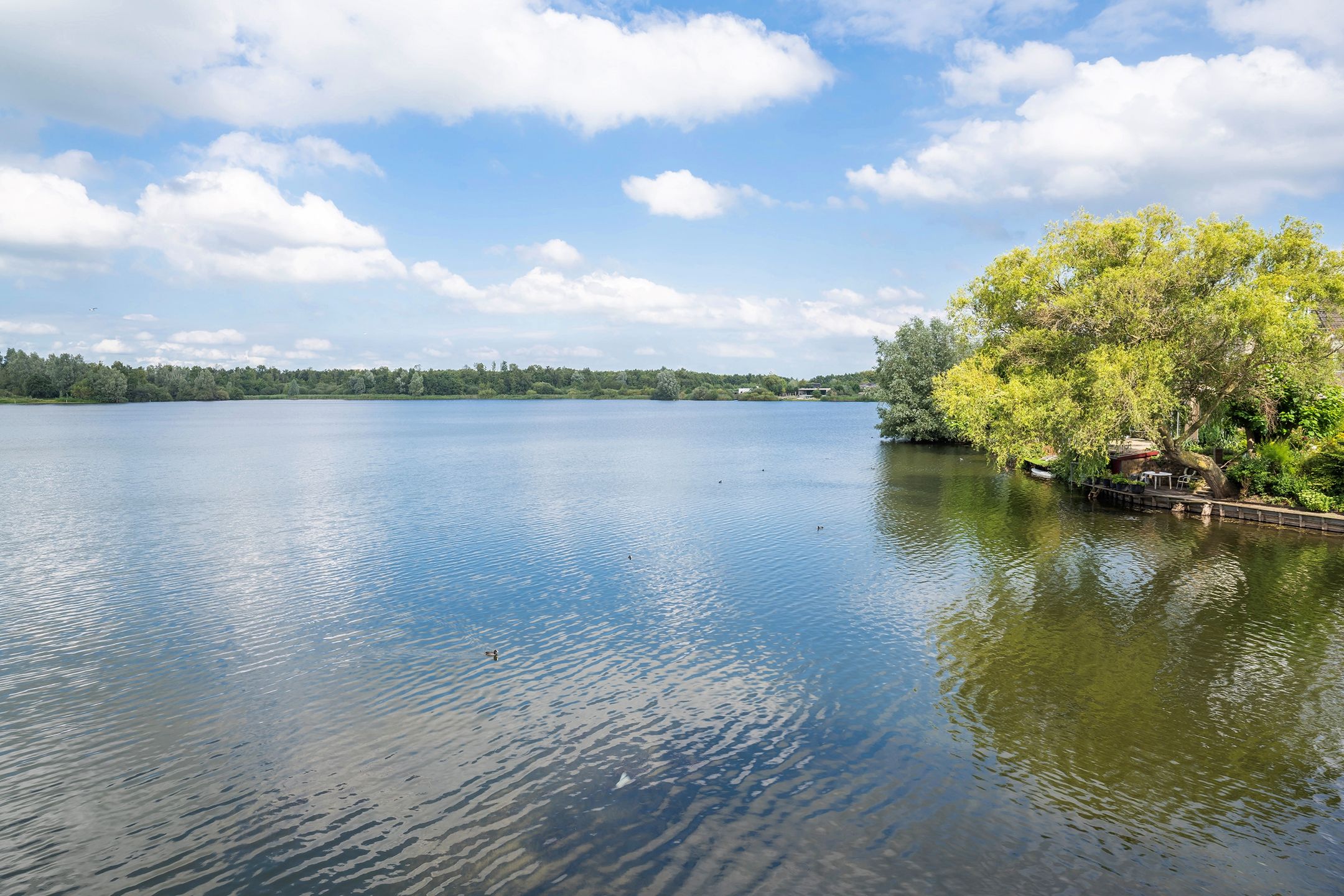 Foto 30 van Grote Dijk 4