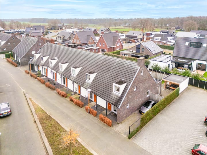 Foto 1 van Speenkruid 42