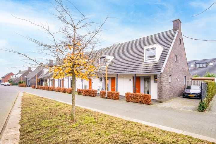 Foto 5 van Speenkruid 42