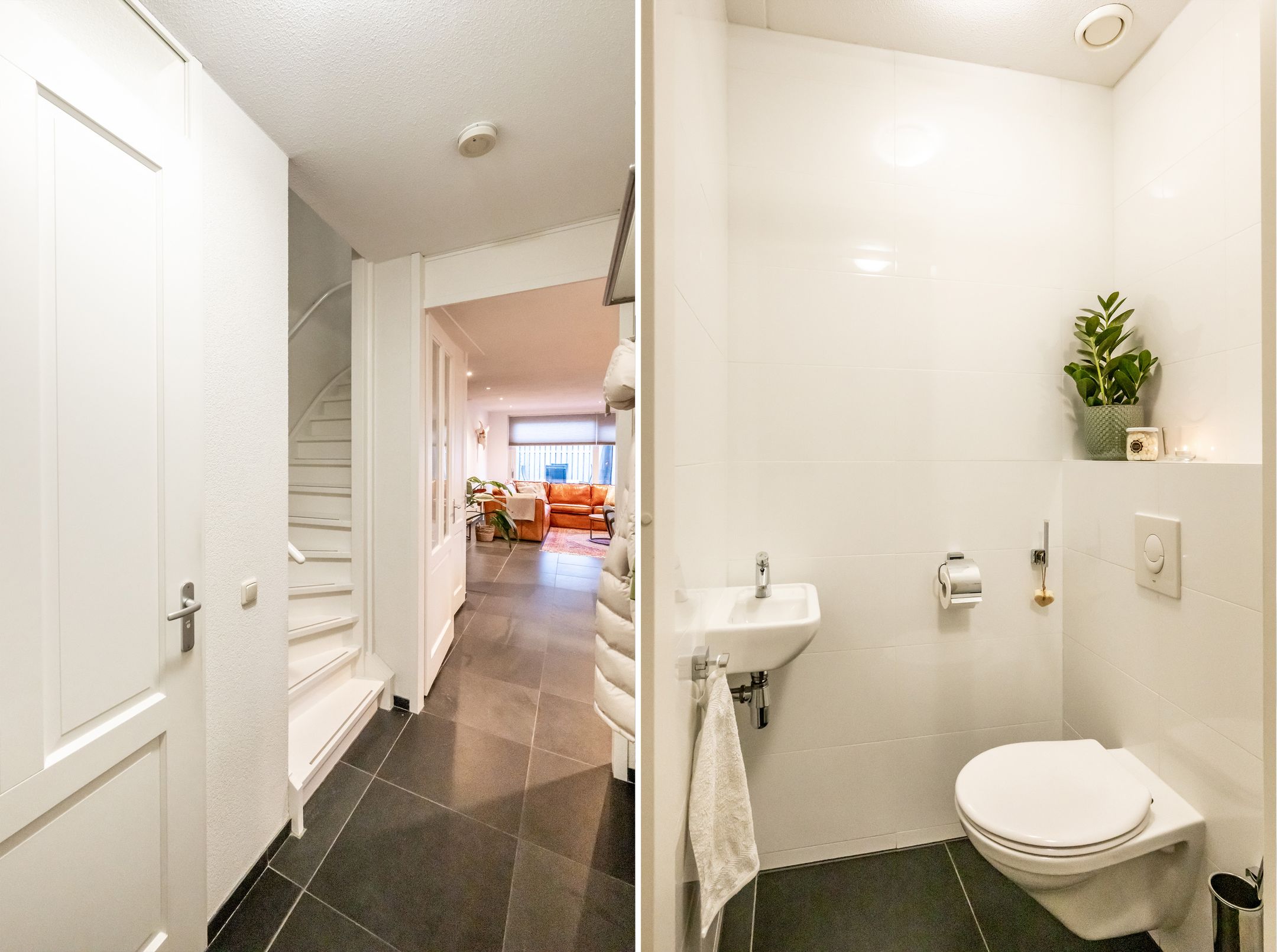 Foto 6 van Speenkruid 42