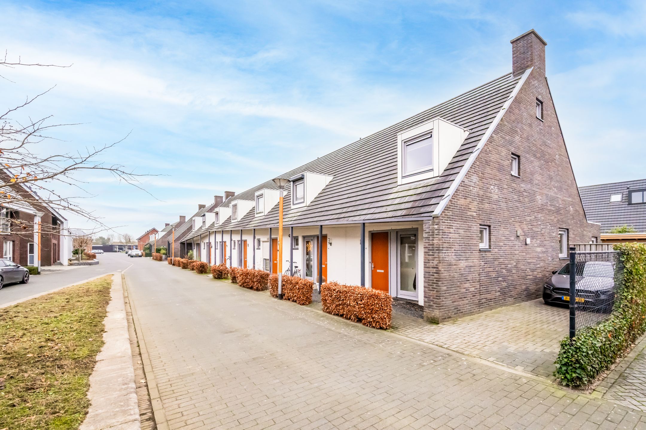 Foto 24 van Speenkruid 42