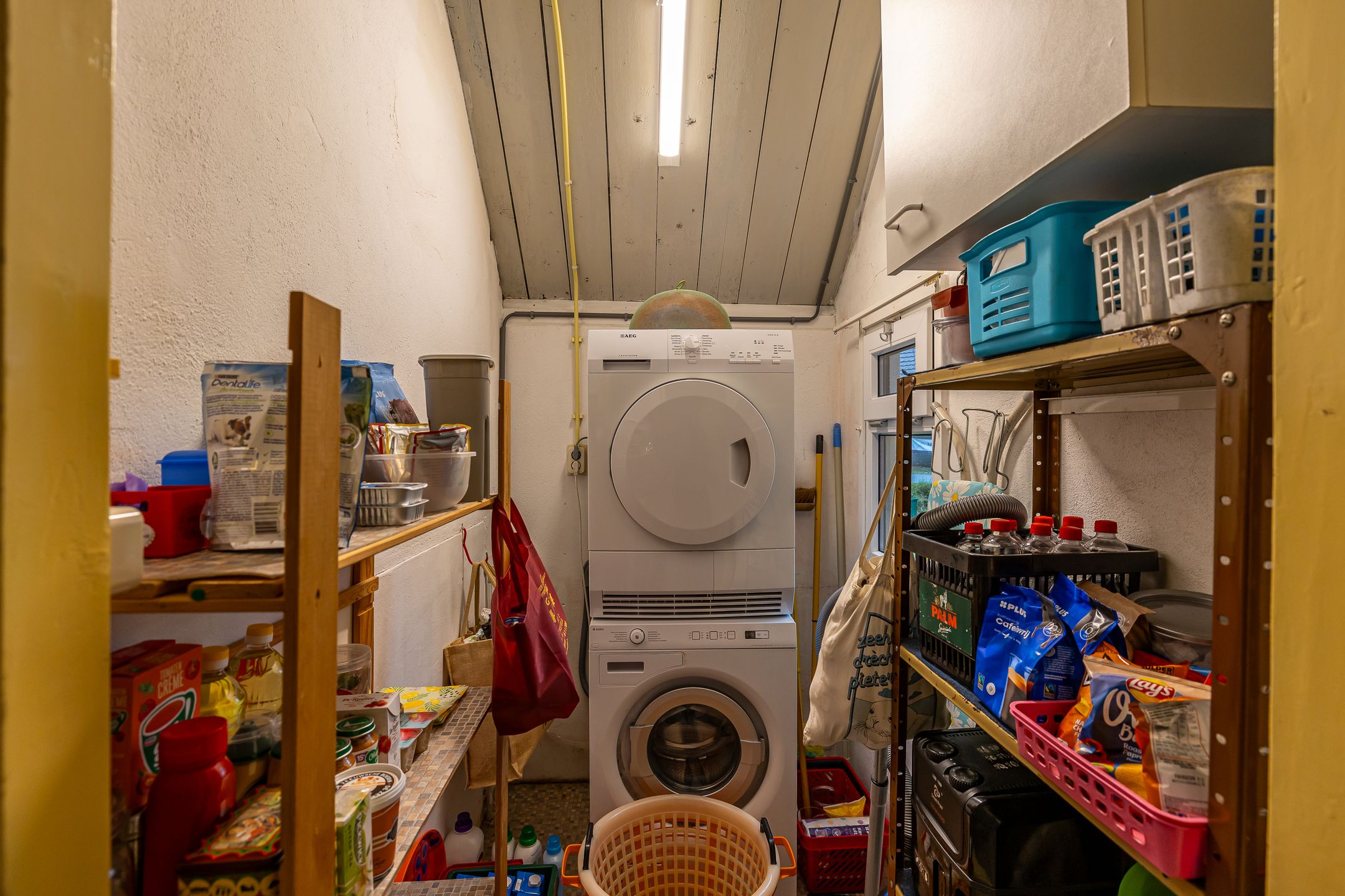 Foto 21 van Treubweg 13