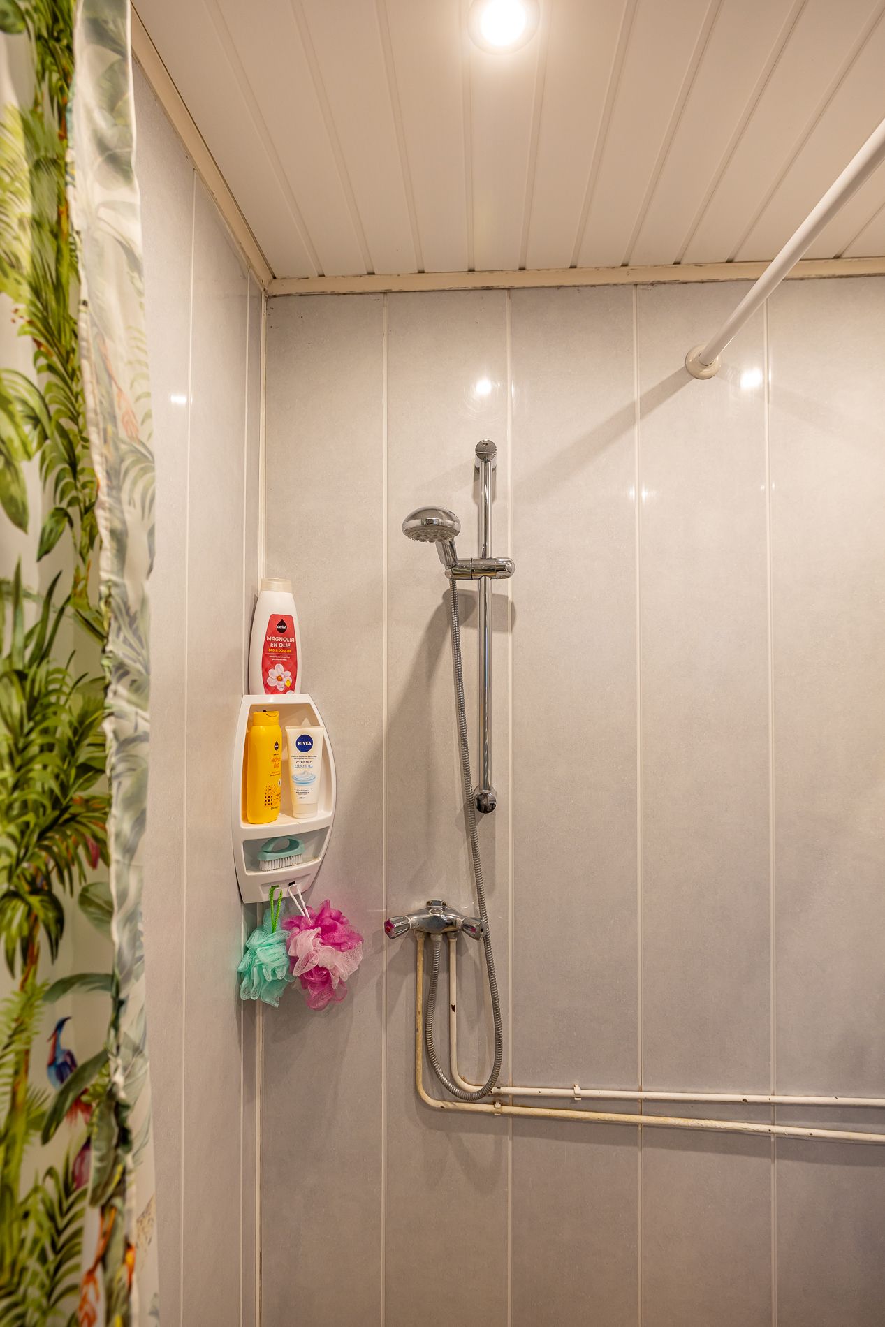 Foto 29 van Treubweg 13