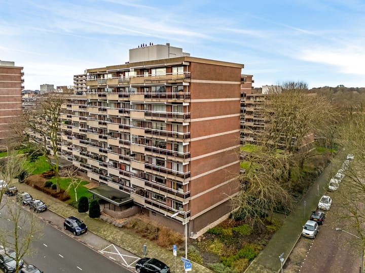 Foto 1 van Theo Mann-Bouwmeesterlaan 608