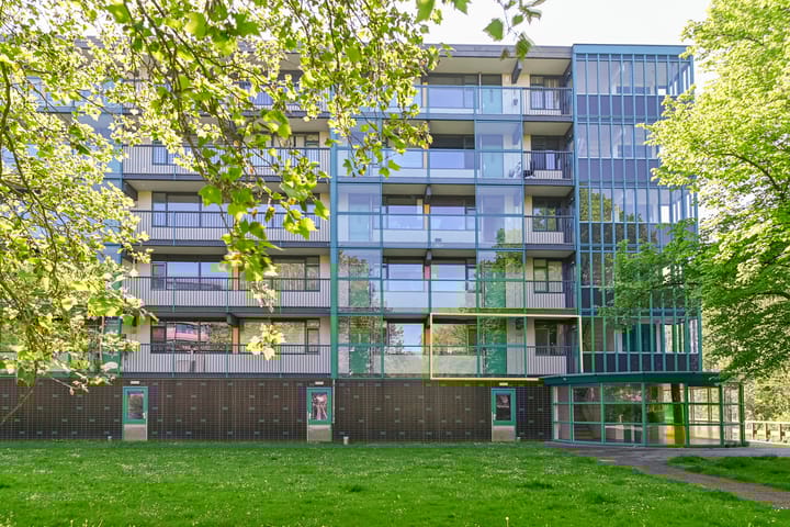 Foto 2 van Iepenschans 10