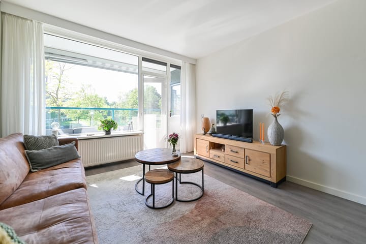 Foto 10 van Iepenschans 10