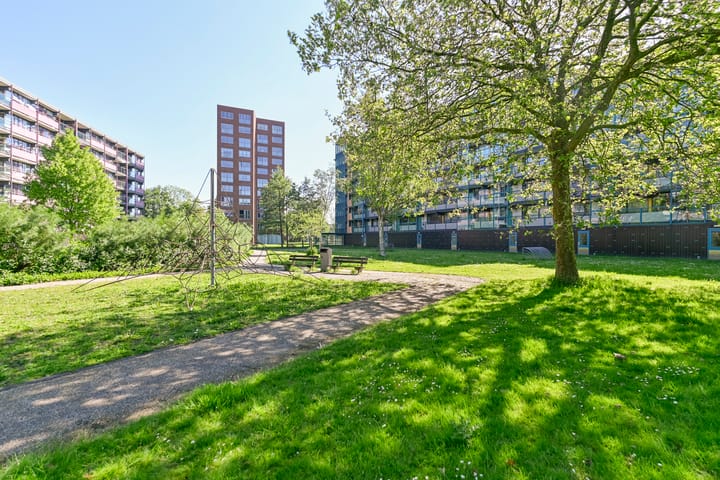 Foto 25 van Iepenschans 10