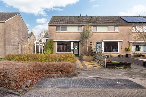 undefined main image