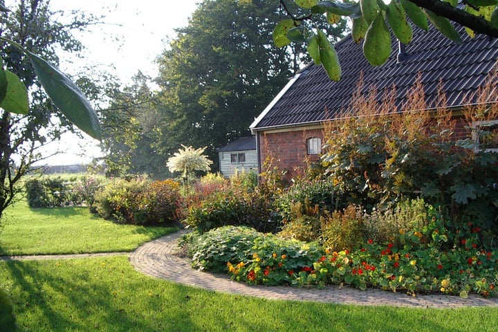 Bekijk foto 4 van Dorpsstraat 184