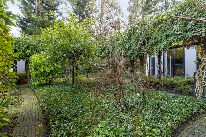 Foto 42 van Hubertusring 6-A