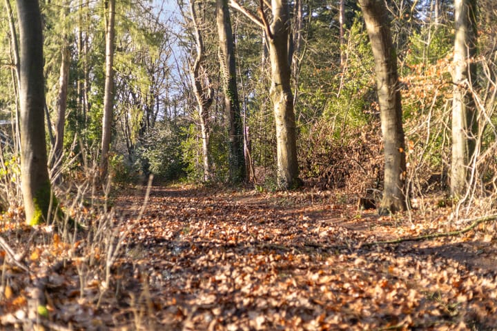 Foto 49 van Hubertusring 6-A