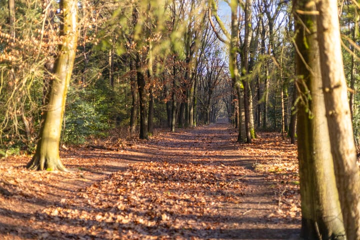 Foto 50 van Hubertusring 6-A