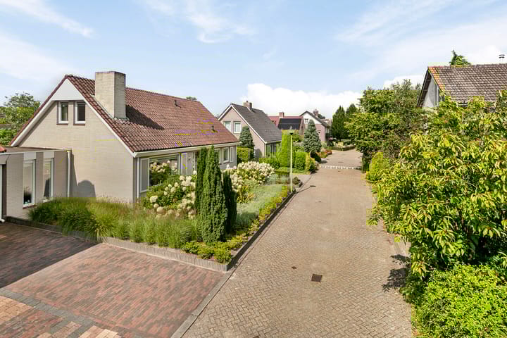 Foto 7 van Wezelpad 8