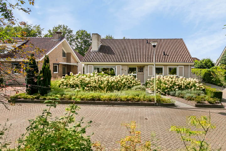 Foto 8 van Wezelpad 8