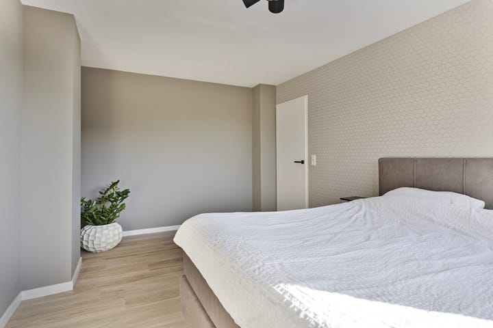 Foto 30 van Dorenbos 15