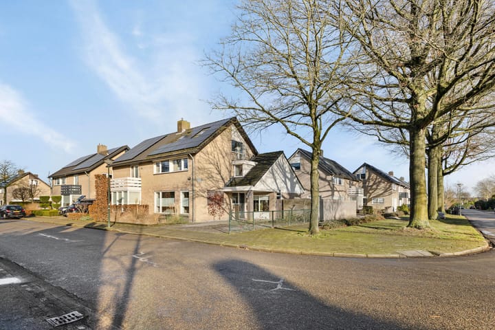 Foto 52 van Dorenbos 15