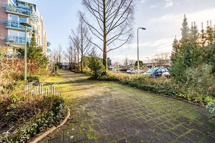 Foto 43 van De Maaier 25