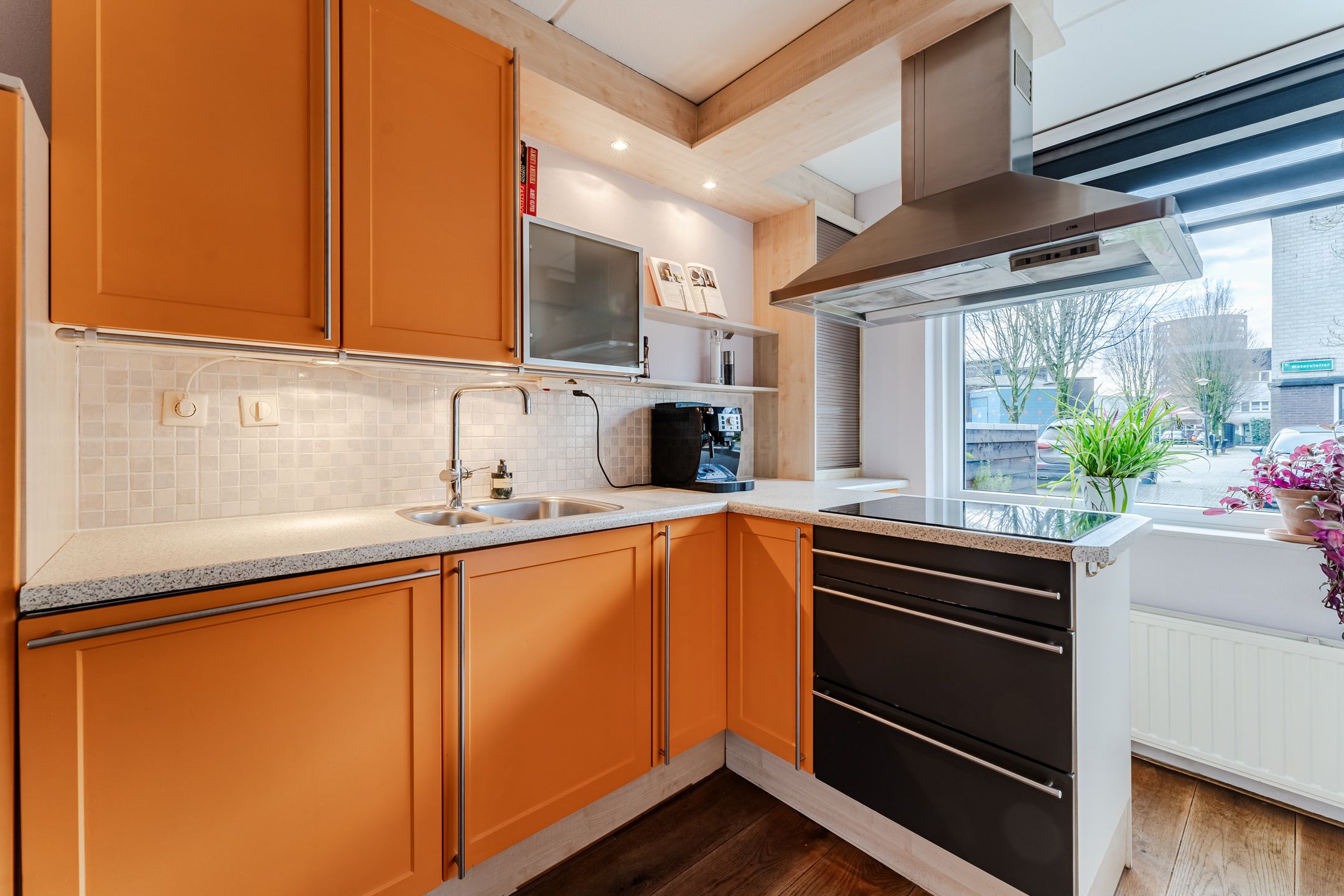 Foto 9 van Waterviolier 4