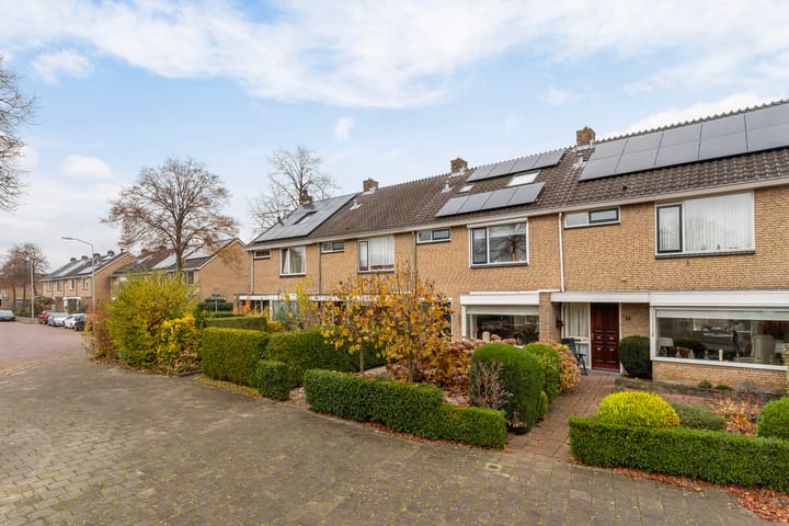 Foto 1 van Kameleonring 6