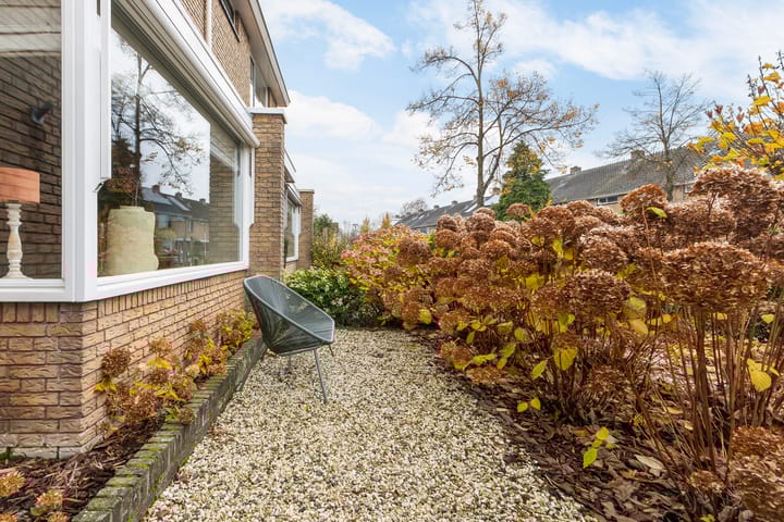 Foto 5 van Kameleonring 6